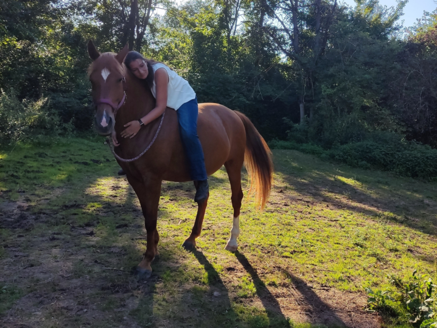 21 Tage Selbstführung Audio Training mit Alev Röderer